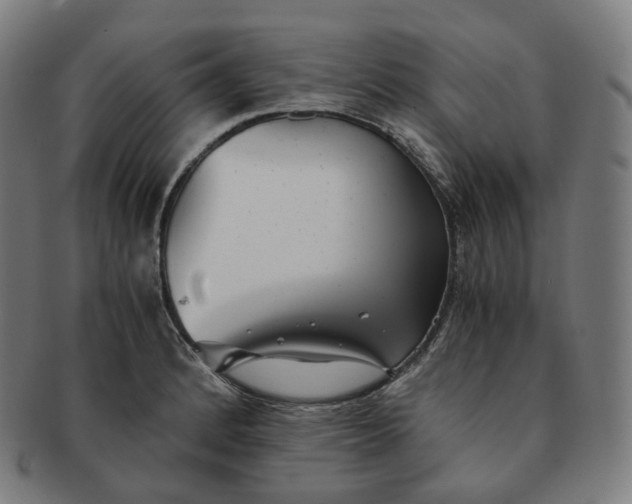 X0000091301184200708241044