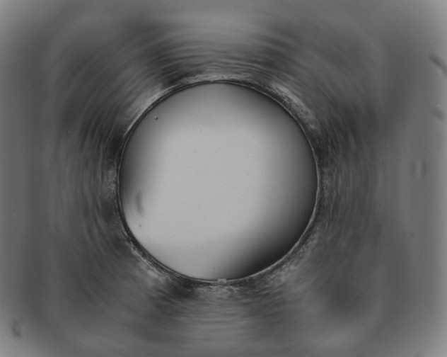 X0000091301185200708241044