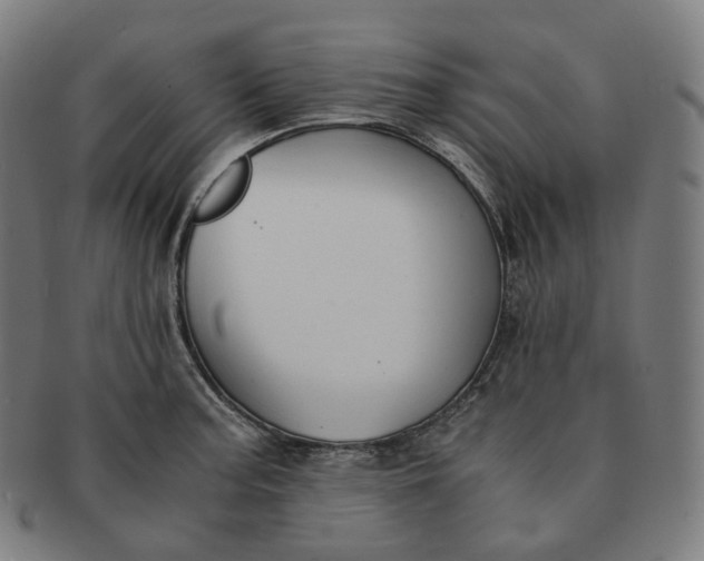 X0000091301187200708241044