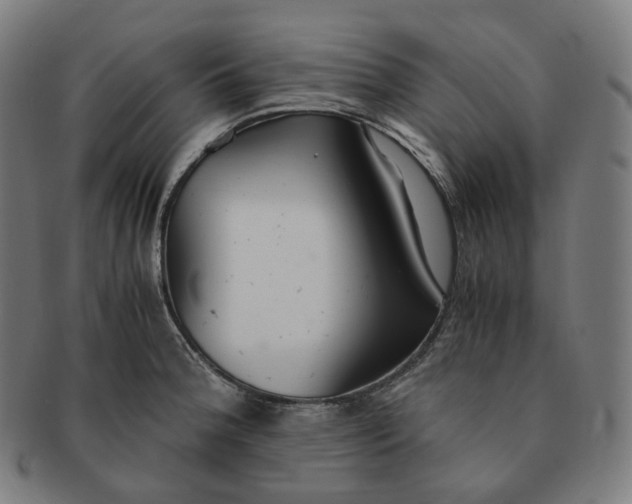 X0000091301188200708241044