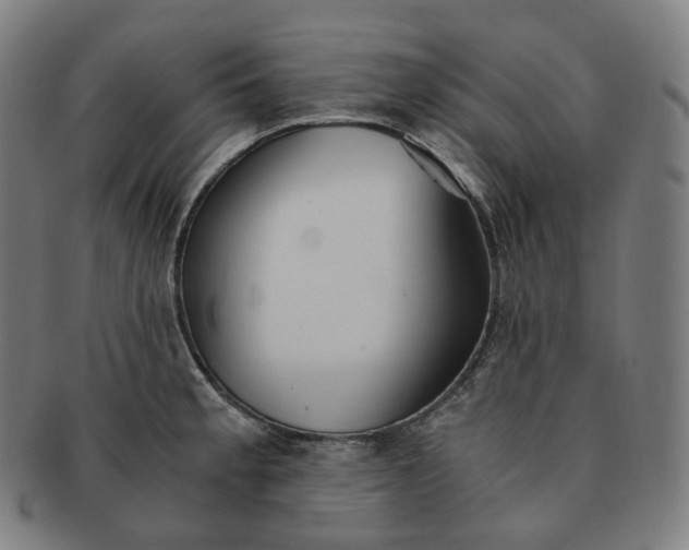 X0000091301189200708241044