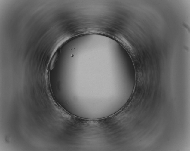 X0000091301190200708241044