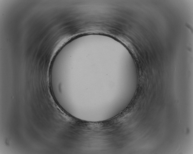 X0000091301191200708241044