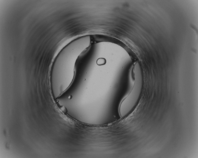 X0000091301192200708241044