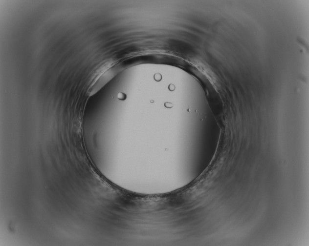 X0000091301193200708241044