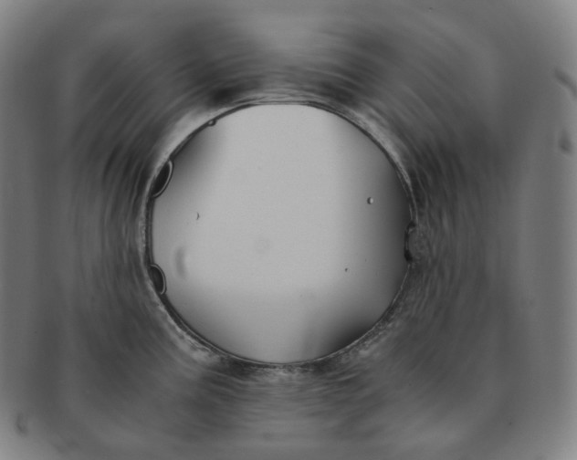 X0000091301195200708241044