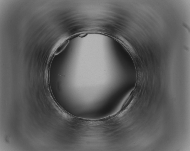 X0000091301196200708241044