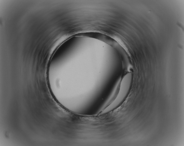 X0000091301197200708241044