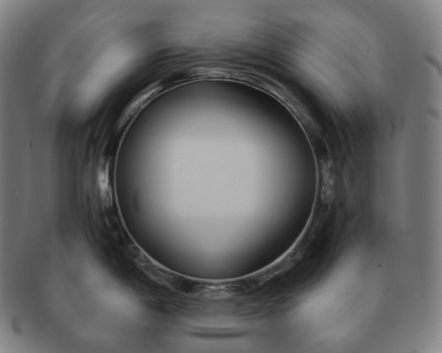 X0000091301198200708241044