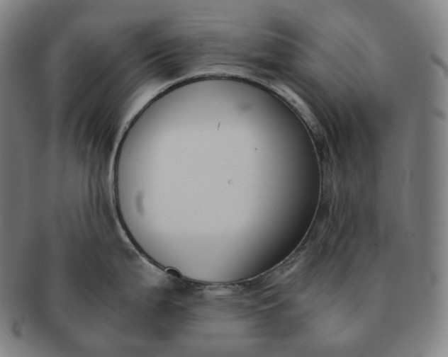 X0000091301199200708241044