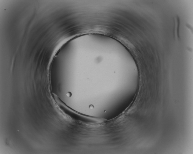 X0000091301200200708241044