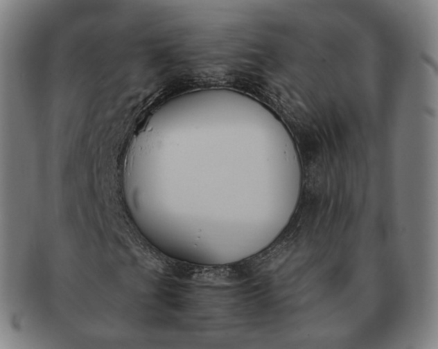 X0000091301201200708241043