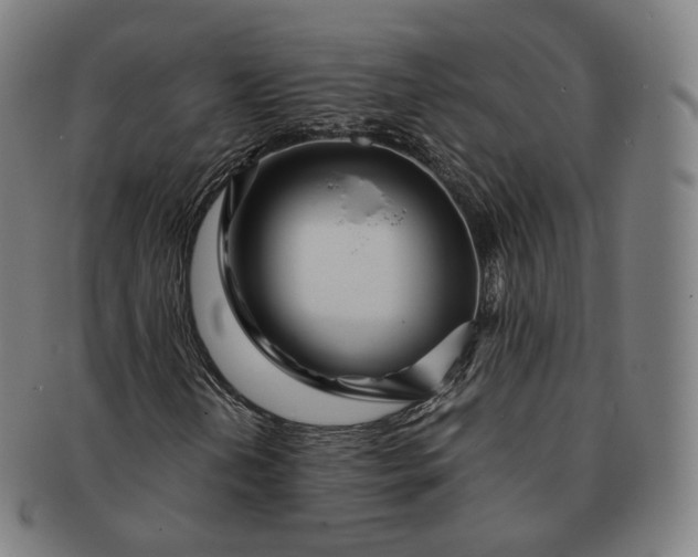 X0000091301202200708241043