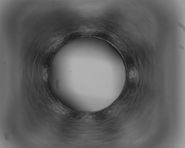 X0000091301204200708241043