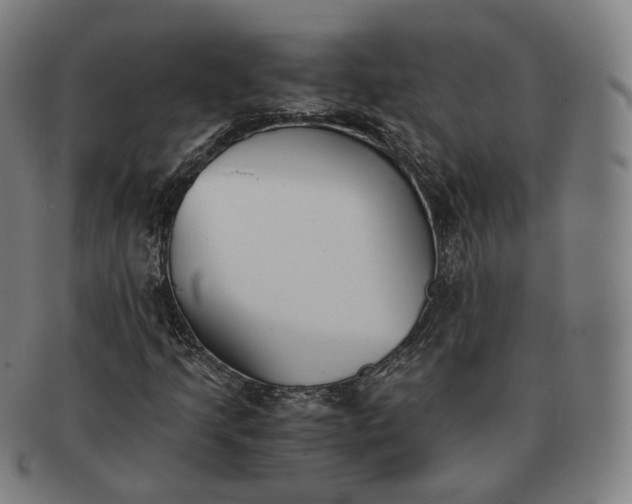 X0000091301205200708241043