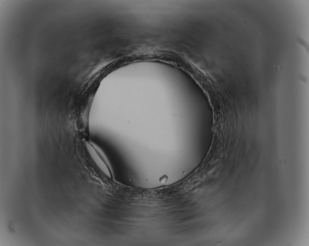 X0000091301206200708241043