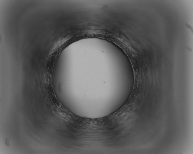 X0000091301207200708241043