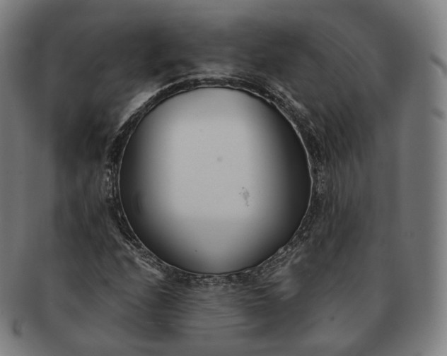 X0000091301208200708241043