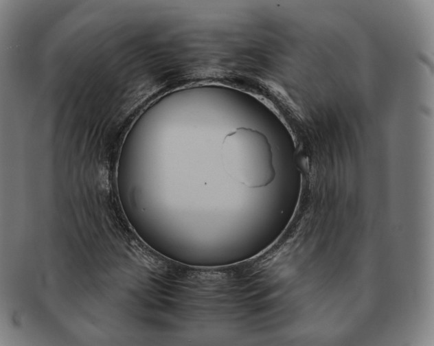 X0000091301209200708241043