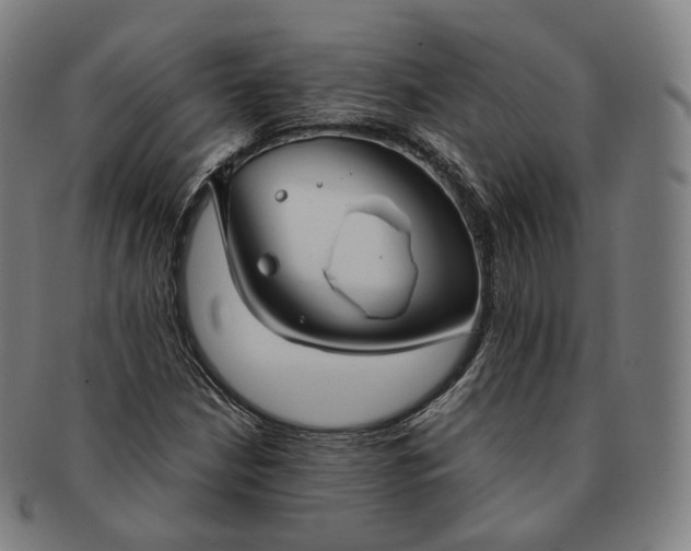 X0000091301210200708241043