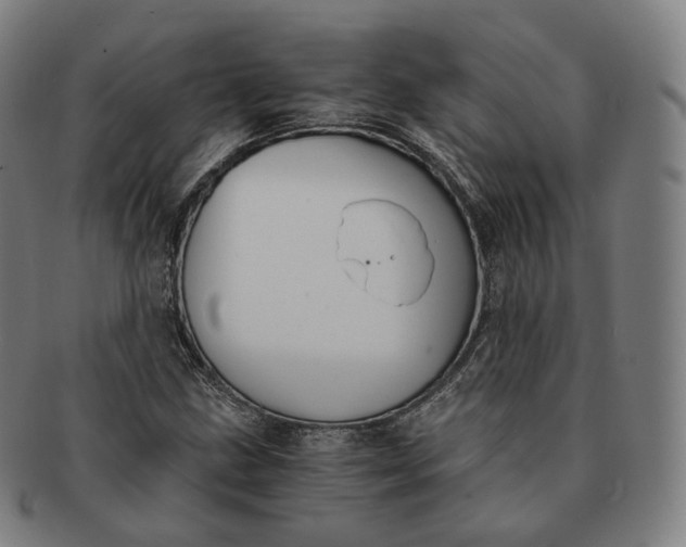 X0000091301211200708241043