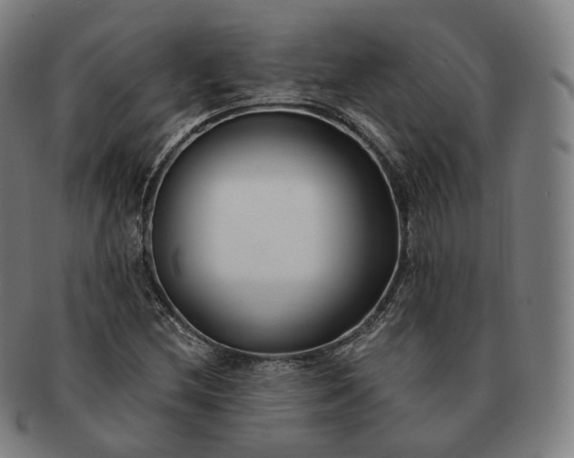 X0000091301212200708241043