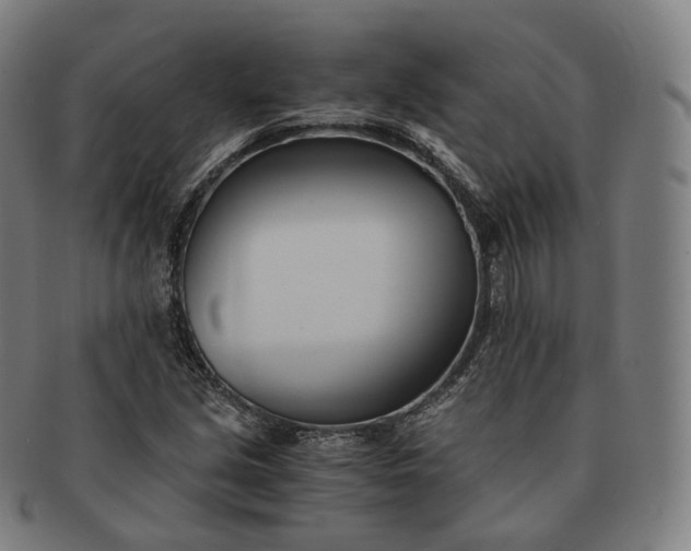 X0000091301213200708241043