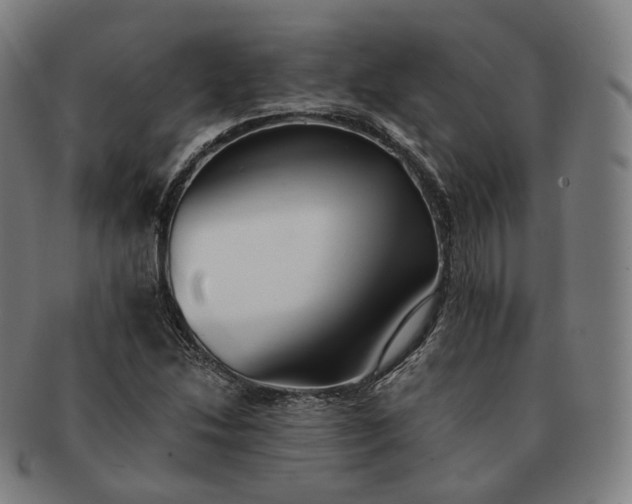 X0000091301214200708241043