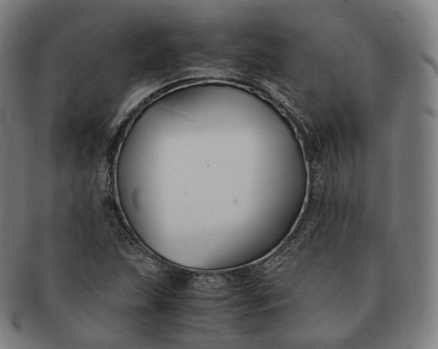 X0000091301215200708241043