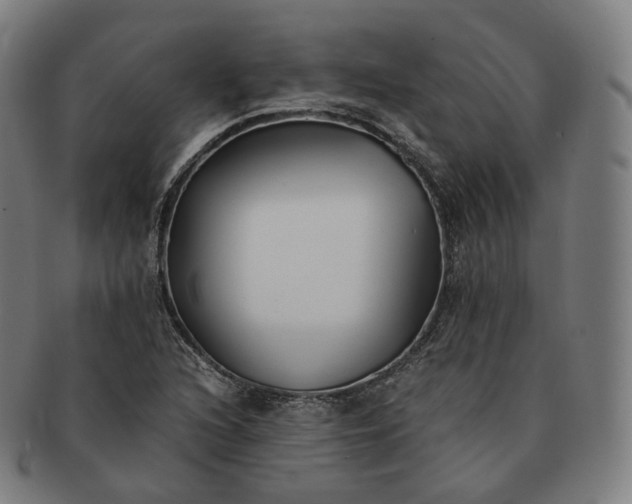 X0000091301216200708241043