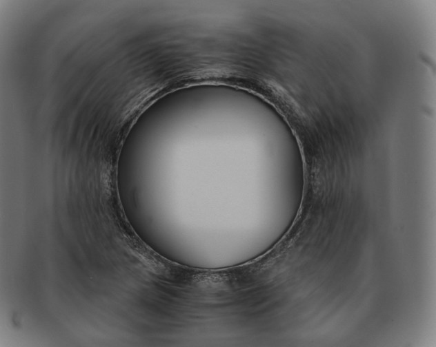 X0000091301217200708241043