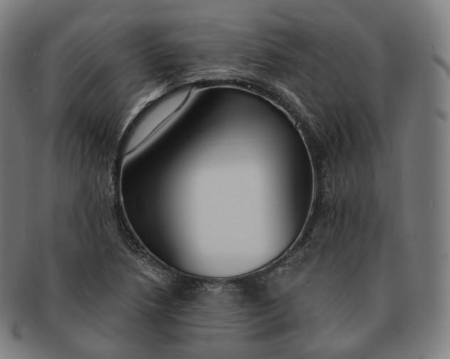 X0000091301218200708241043