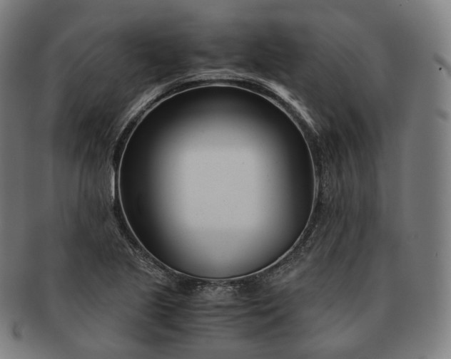 X0000091301221200708241043