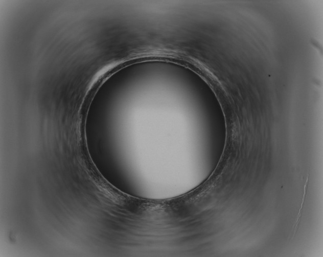 X0000091301222200708241043