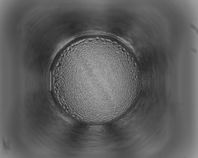 X0000091301223200708241043