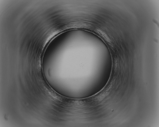 X0000091301226200708241044