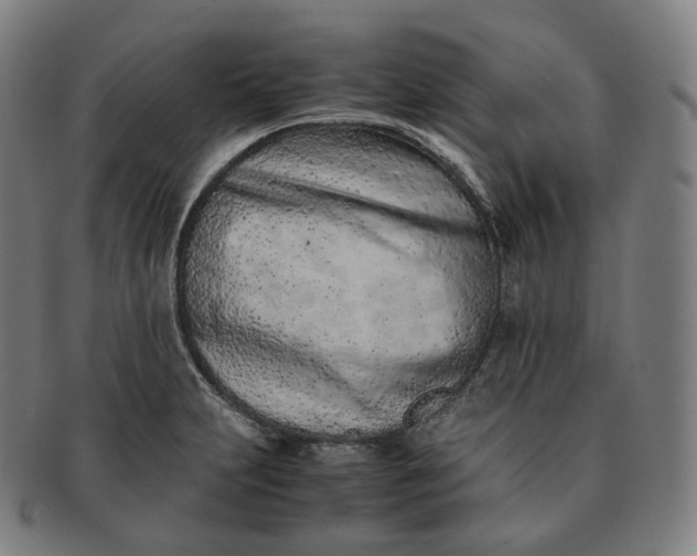 X0000091301231200708241044