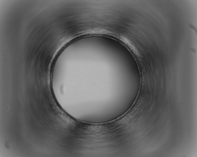 X0000091301232200708241044