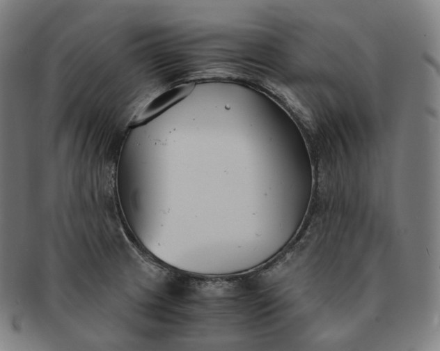 X0000091301233200708241044