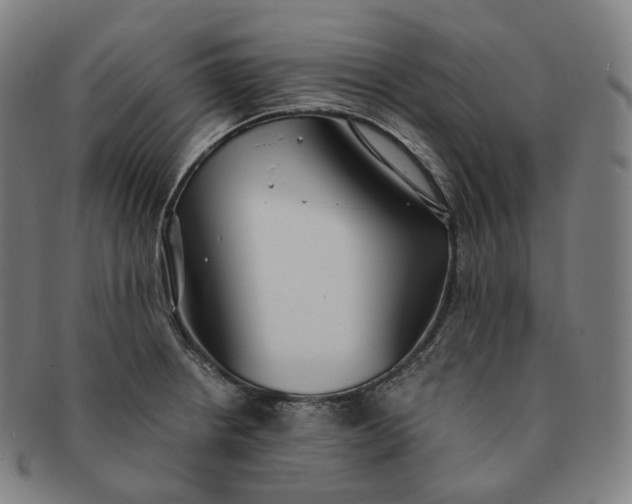 X0000091301234200708241044