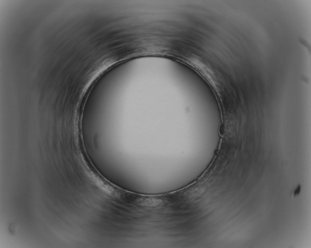 X0000091301235200708241044