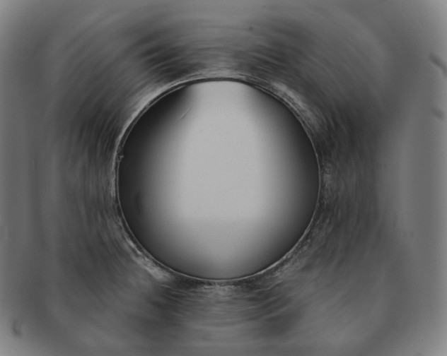 X0000091301236200708241044