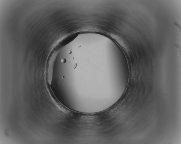 X0000091301237200708241044