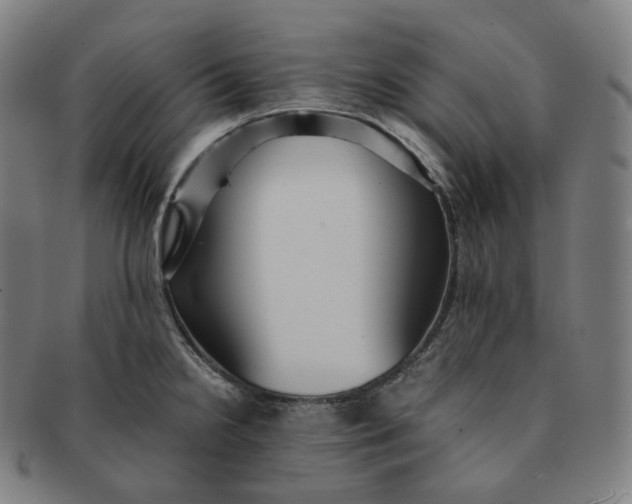 X0000091301238200708241044