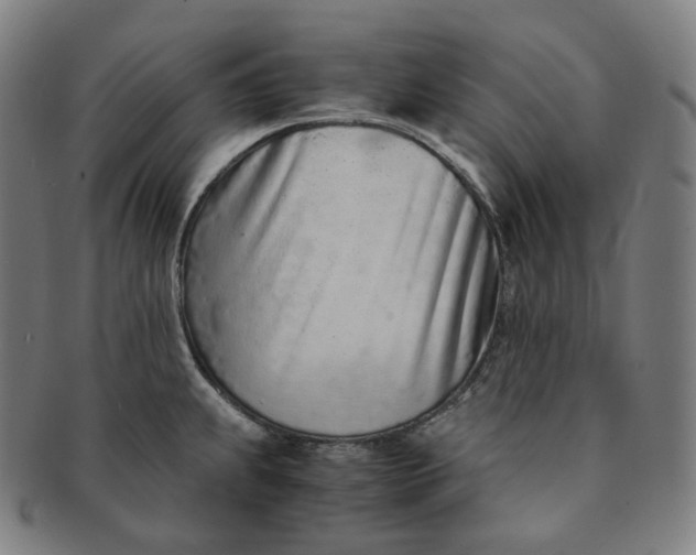 X0000091301239200708241044