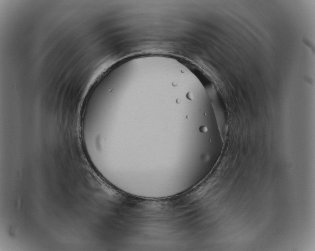 X0000091301240200708241044