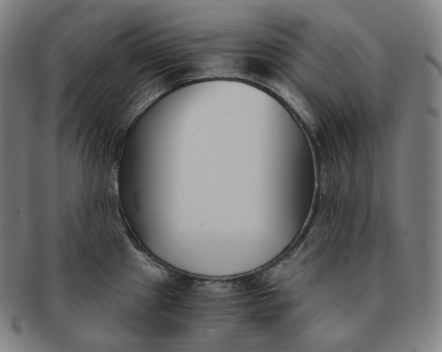 X0000091301241200708241044