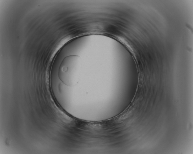 X0000091301243200708241044