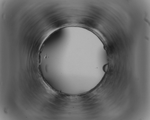 X0000091301244200708241044