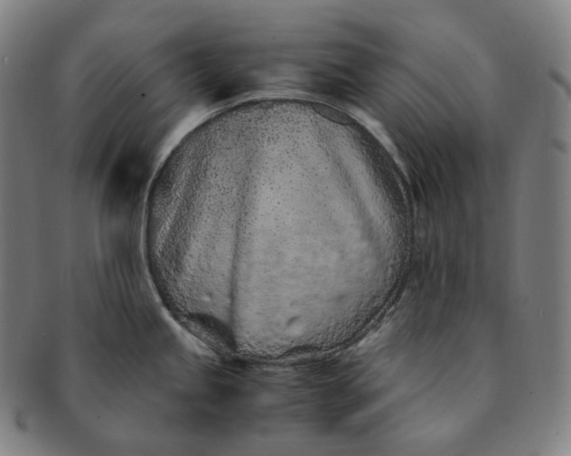 X0000091301245200708241044